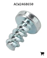 AGCO ACW2468650 Винт