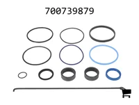 AGCO 700739879 Ремкомплект
