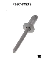 AGCO 700748833 Заклепка