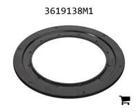 AGCO 3619138M1 Уплотнение