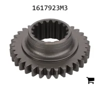 AGCO 1617923M3 Шестерня