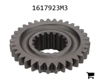 AGCO 1617923M3 Шестерня