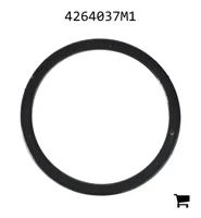 AGCO 4264037M1 Плоская шайба