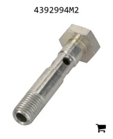 AGCO 4392994M2 Болт банджо