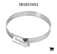 AGCO 3010156X1 Хомут