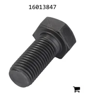 AGCO 16013847 Винт