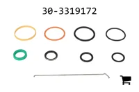 AGCO 30-3319172 Комплект сальников