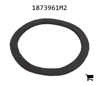 AGCO 1873961M2 Прокладка