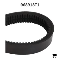 AGCO 068918T1 Ремень
