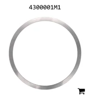 AGCO 4300001M1 Регулировочная шайба