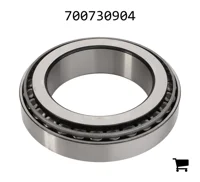 AGCO 700730904 Подшипник