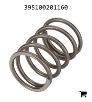 AGCO 395100201160 Пружина сжатия