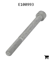 AGCO E100993 Болт