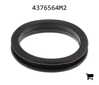 AGCO 4376564M2 Втулка