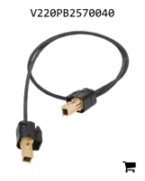 AGCO V220PB2570040 Комплект кабелей