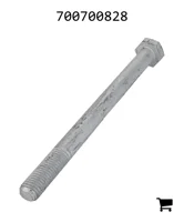 AGCO 700700828 Болт