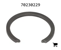 AGCO 70230229 Кольцо