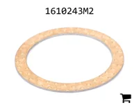 AGCO 1610243M2 Шайба
