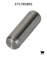 AGCO 3757098M1 Палец