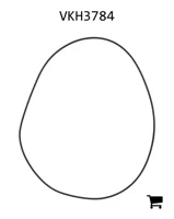 AGCO VKH3784 Уплотнительное кольцо корпуса переднего моста