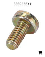 AGCO 3009530X1 Винт с полукруглой головкой