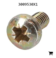 AGCO 3009530X1 Винт с полукруглой головкой