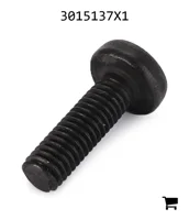 AGCO 3015137X1 Винт