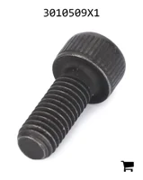 AGCO 3010509X1 Винт с цилиндрической головкой и шестигранным углублением