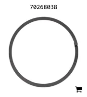 AGCO 70268038 Кольцо