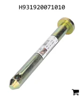 AGCO H931920071010 Болт