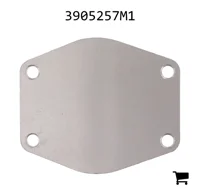 AGCO 3905257M1 Пластина