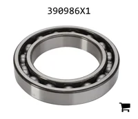 AGCO 390986X1 Подшипник 6015