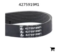 AGCO 4275919M1 Поликлиновой ремень, профиль PK8