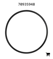 AGCO 70935948 Опорное кольцо