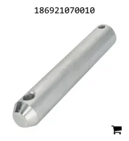 AGCO 186921070010 Болт