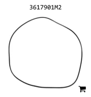 AGCO 3617901M2 Уплотнительное кольцо корпуса заднего моста