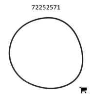 AGCO 72252571 Уплотнительное кольцо