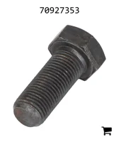 AGCO 70927353 Винт