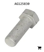 AGCO AG125830 Болт с шестигранной головкой