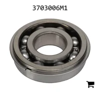 AGCO 3703006M1 Подшипник