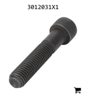 AGCO 3012031X1 Винт с внутренним шестигранником