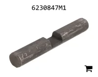 AGCO 6230847M1 Вал