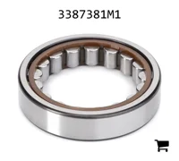 AGCO 3387381M1 Цилиндрический роликовый радиальный подшипник