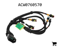 AGCO ACW0760570 Жгут