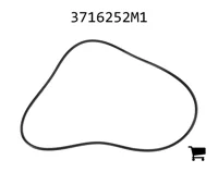 AGCO 3716252M1 Уплотнительное кольцо поршня задней оси, Ø 312,00 x 5,33 мм