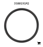 AGCO 3580191M2 Уплотнительное кольцо