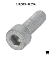 AGCO CH209-8296 Болт