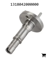 AGCO 1318042000000 Вал