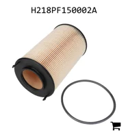 AGCO H218PF150002A Масляный фильтр