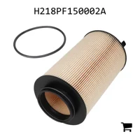 AGCO H218PF150002A Масляный фильтр